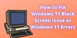 Windows 11 Black Screen